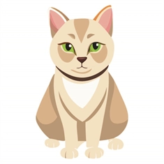 Cat Lovers Theme Burmese Cat Transparent Sticker